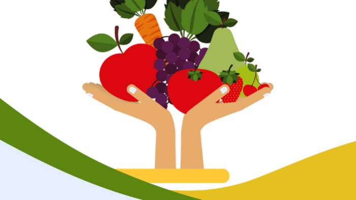 alimentation ssa